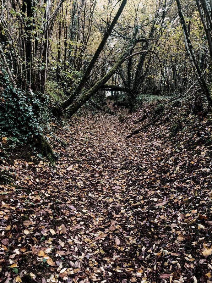 La Ferme Du Pont De Maumy, Cabane Au Bord De L'Etang Et Bain Nordique Busserolles Zewnętrze zdjęcie