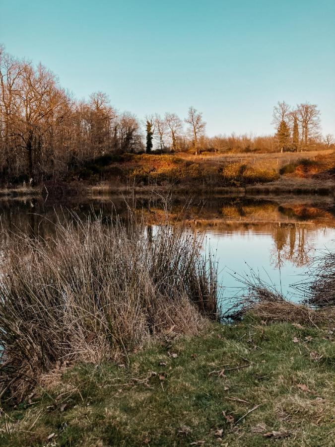La Ferme Du Pont De Maumy, Cabane Au Bord De L'Etang Et Bain Nordique Busserolles Zewnętrze zdjęcie