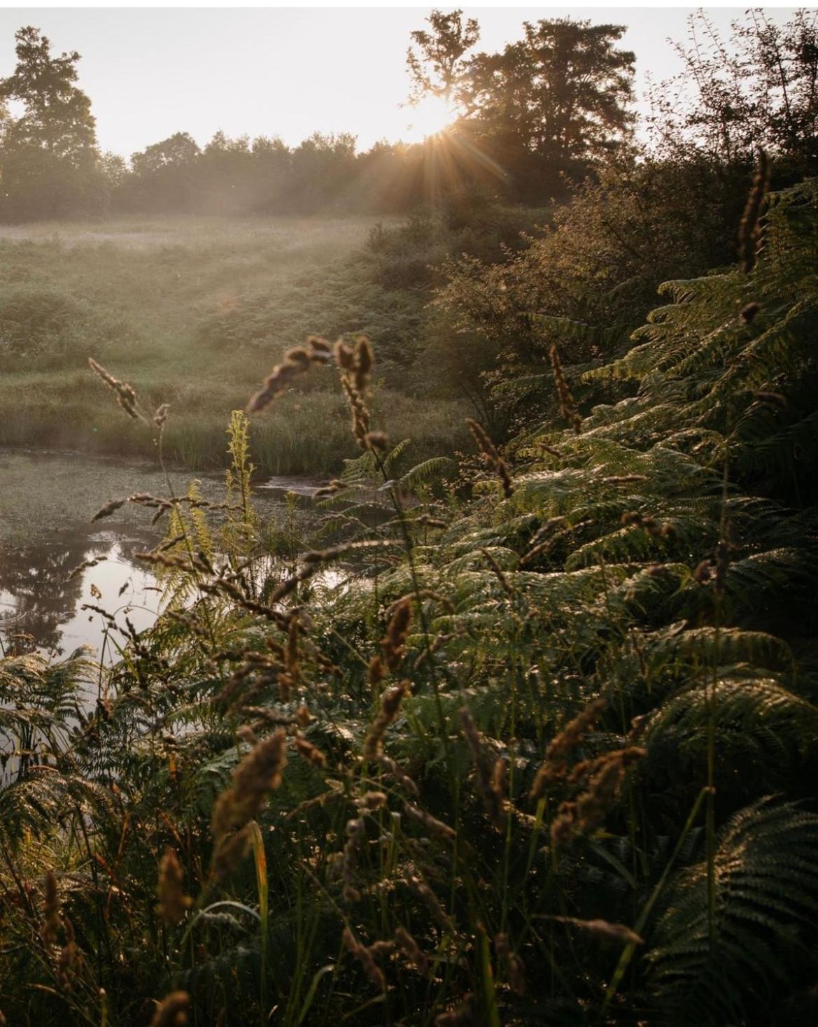 La Ferme Du Pont De Maumy, Cabane Au Bord De L'Etang Et Bain Nordique Busserolles Zewnętrze zdjęcie