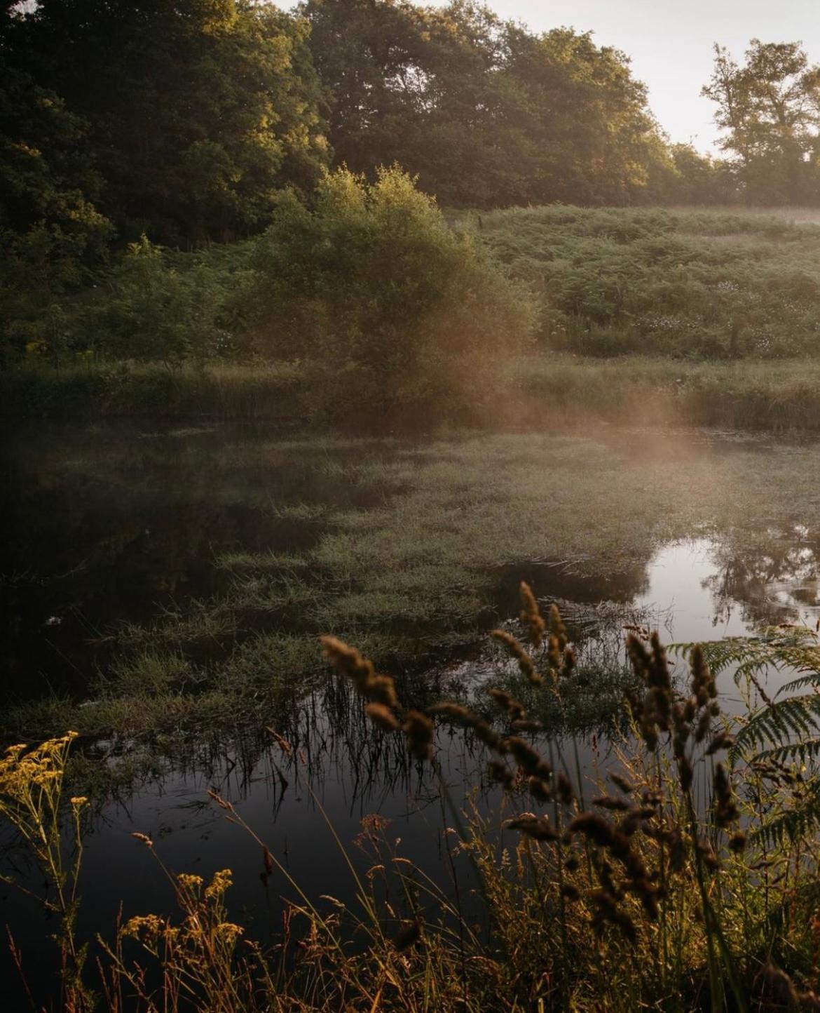 La Ferme Du Pont De Maumy, Cabane Au Bord De L'Etang Et Bain Nordique Busserolles Zewnętrze zdjęcie